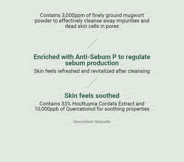 Anua-Heartleaf Quercetinol Pore Deep Cleansing Foam